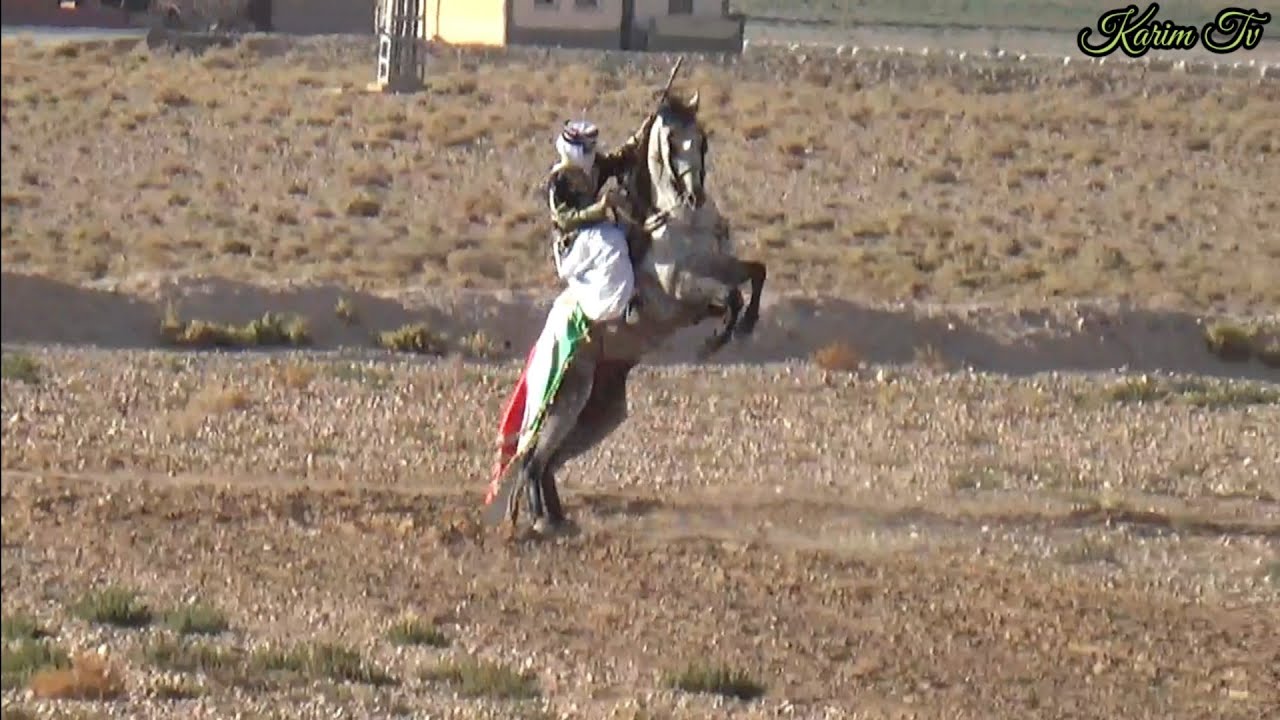 عرس عامر برهومV01فرسان مرسط والكويف سدراتةحمامات بئرالذهب وبئرمقدم عاتر و قايس و بريش خنشلة  واد سوف