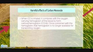 How to reduce sulfur dioxide, oxides of nitrogen and carbon monoxide emission in the environment