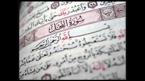 تلاوة خاشعة ماتيسر من سورة النحل بصوت : يوسف الشمري رحمه الله