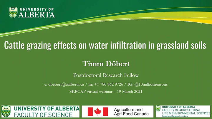 Cattle grazing effects on water infiltration in gr...