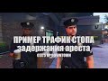 Обучающий ролик по трафик стоп, задержание, арест. GTA 5 RP DOWMNTOWN