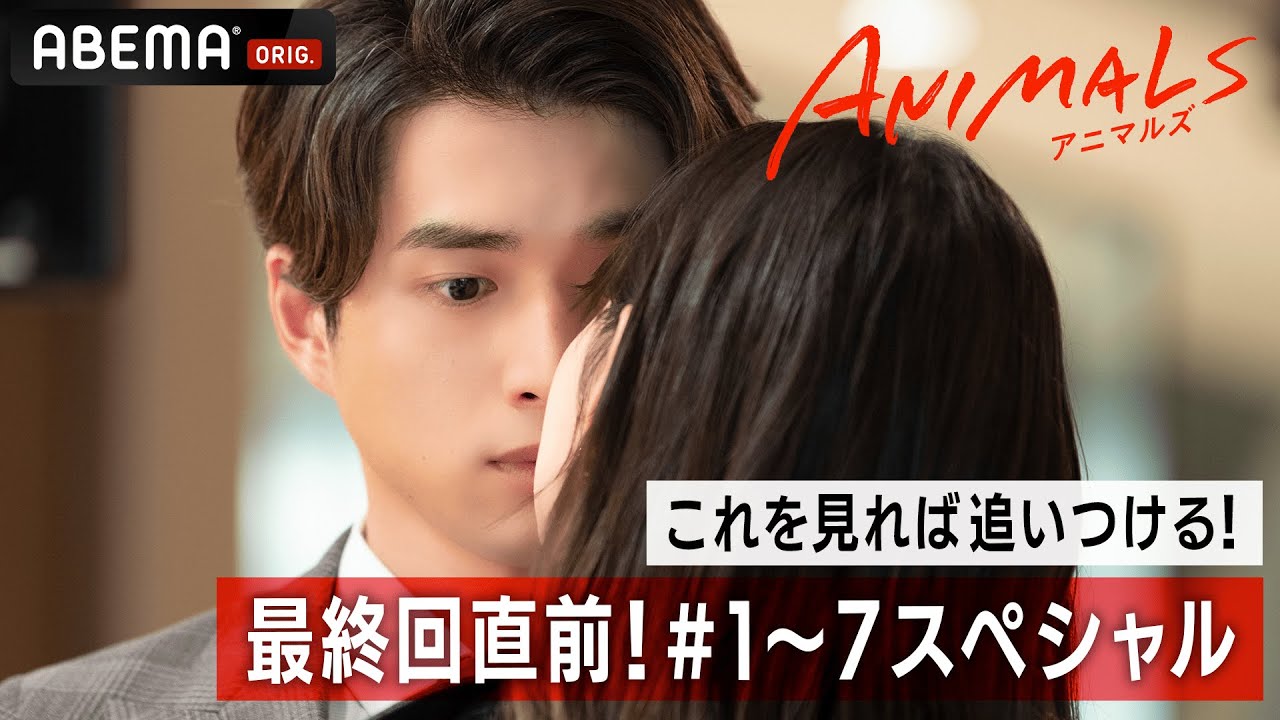 最終回直前 15分で追いつける 恋も仕事も欲張りたい 大人たちの4角関係ラブ 1話 7話スペシャル Animals アニマルズ 毎週木曜よる10時アベマで放送中 Youtube