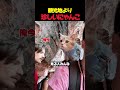 お散歩猫のレベルを超えた観光するにゃんこ
