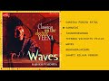 Waves:   Rajhesh Vaidhya.   Classics On the electric veena.