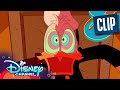 Why Donald Duck is Always Mad 😤 | DuckTales | Disney Channel