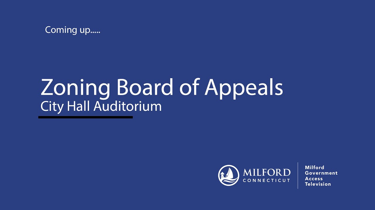 Zoning Board of Appeals 3/11/2025