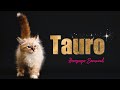 TAURO! ♉️ EL GRAN CAMBIO HA COMENZADO!! 🙌🏼🔥 TAROT SEMANAL AMOR Y MAS HOROSCOPO Y TAROT