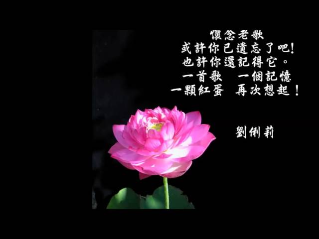  - HeartVod