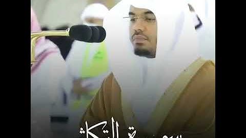 القارئ ياسر الدوسري | ارح سمعك.. تلاوة هادئة تريح القلب والعقل💙🎧