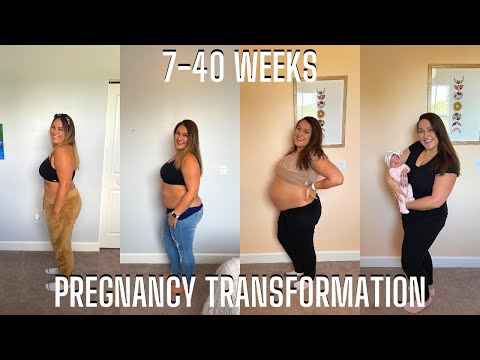 Pregnancy Transformation Week By Week Progress | Pregnant Belly Growth Week 7-40