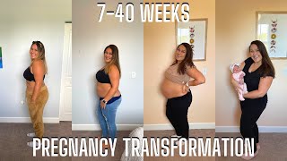 Pregnancy Transformation Week By Week Progress Pregnant Belly Growth Week 7-40