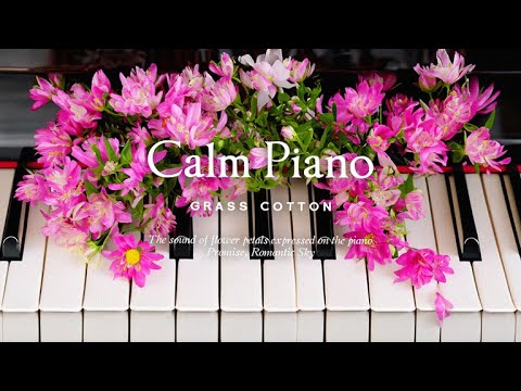 Видео: Звук лепестков цветов, выраженный на фортепиано l GRASS COTTON+