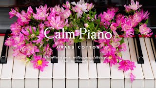 The sound of flower petals expressed on the piano l GRASS COTTON+