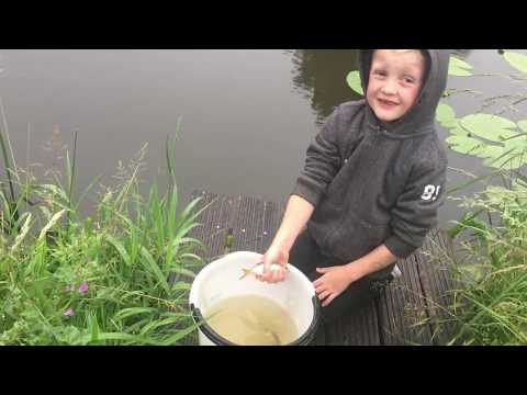 Video: Vissen Op Voorn In De Wildernis