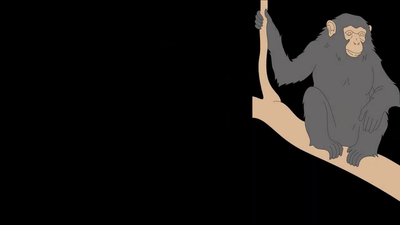 Gibbon monkey  Sound Effect