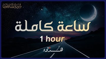 ساعة كاملة من أجمل التلاوات  1️⃣ | تلاوة هادئة لراحة تفوق الوصف 🌿❤️