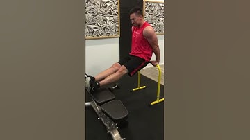 Triceps Dips on Equalizer Bars