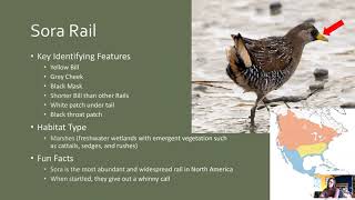 Dec  2021 Upland Birds Webinar
