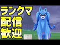 剣盾を忘れるな！しばのりのランクマ配信！【ポケモン剣盾】