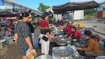 Khám phá “Chợ Cửa Khẩu Thường Phước “ bán đa dạng cá đồng, bông điên điển và bông súng 