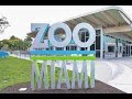 Zoo Miami