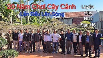 CHIÊM NGƯỠNG vườn cây 20 TUỔI , LẦN ĐẦU LÊN SÓNG của chú ĐỊNH - THỦY NGUYÊN .