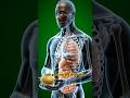 Inside the Human Body After Eating Spicy Potato 🌶️ #shorts #foodcombining #incrediblefood #health