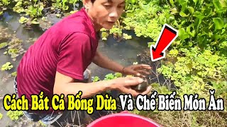 Cách Bắt Cá Bống Dừa Và Chế Biến Món Ăn Ngon Miền Sông Nước | Nguyễn Toàn Vlog