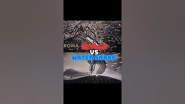 Scylla vs Water Snake #monsterverse #godzillaxkongthenewempire