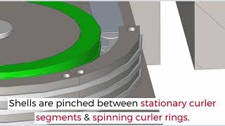 CanSCHOOL Spotlight: Curler in a Shell Press