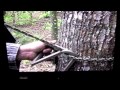 Stepp Ladder...best tree climbing system ever made..good for hunting...yezzr