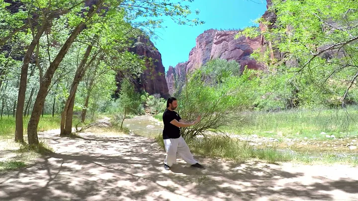 Qi Gong for Chronic Fatigue
