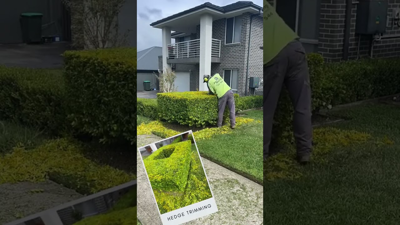 Perfect hedges start with our top-notch trimming