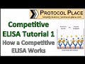 Competitive ELISA Tutorial 1: How a Competitive ELISA Works
