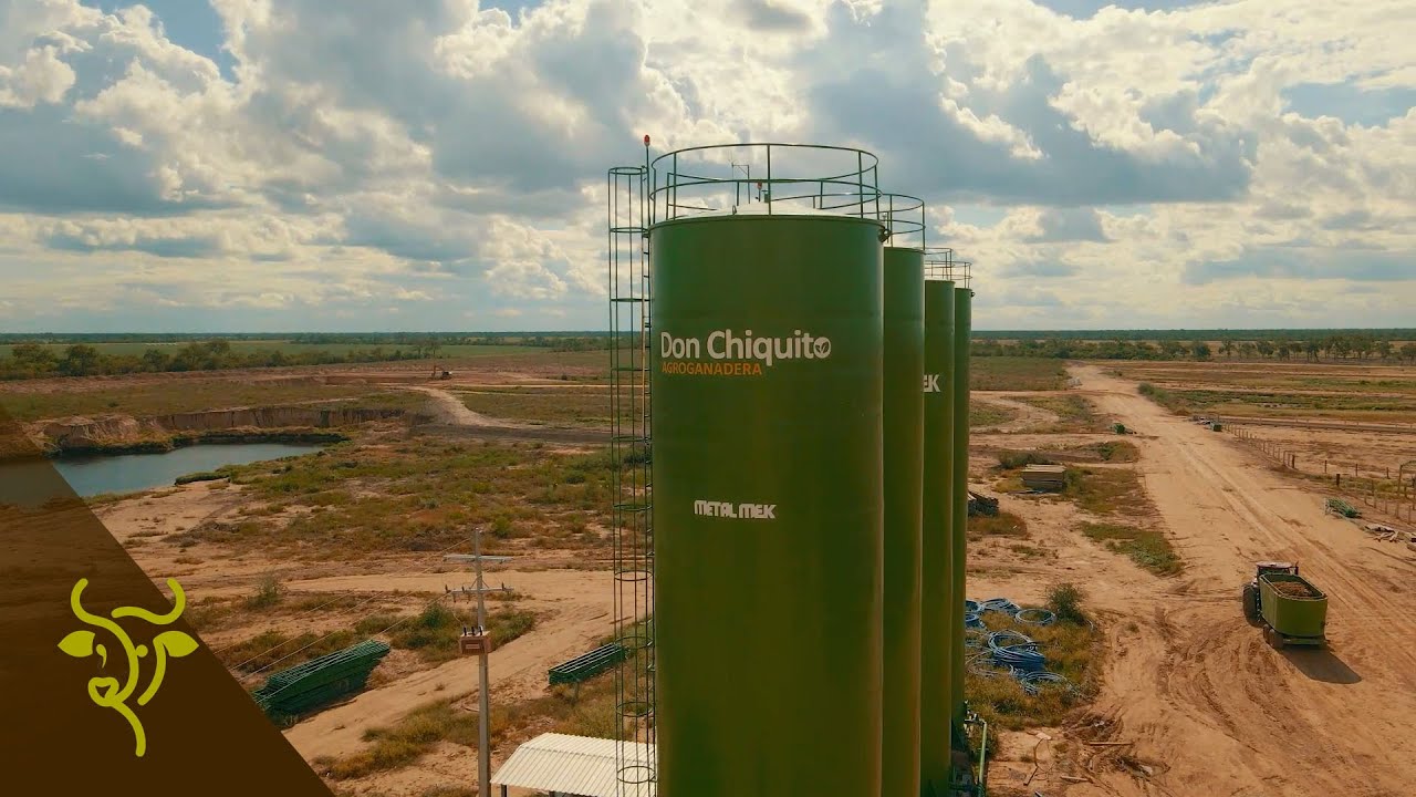 Confinamiento: bienestar animal, infraestructura y moderna planta de alimentación animal | GP #05