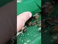 Rausschmiss einer Drohne