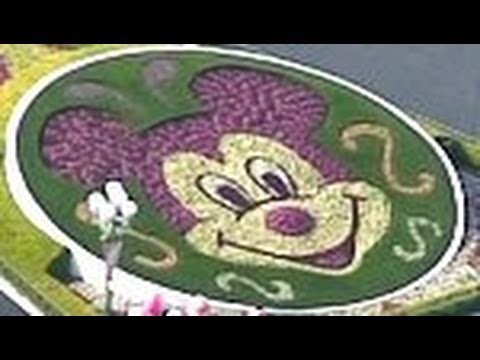 ミッキーに会えた！　ディズニーランド１カ月ぶり再開