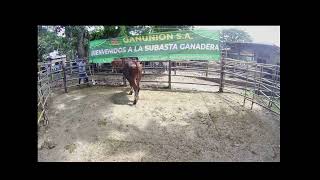 Lote Nro. 167