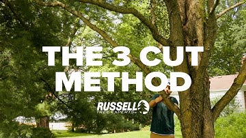 How to Prune a Tree Using the 3 Cut Method