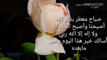 صباح الخير مع الطيور والزهور وآيات من الذكر الحكيم مقطع رائع وقصير