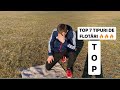 TOP 7 TIPURI DE FLOTĂRI
