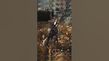 Intense Modded Combat in Skyrim | Precision | SCAR | ADXPMCO #shorts