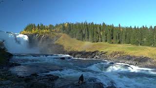 Download Lagu Tannforsen, one of Sweden's largest waterfalls. Duved, near Åre, Jämtland. Fall colors! #2 Våmviken MP3