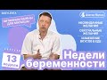 13 неделя беременности