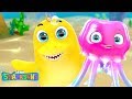 Jellyfish - Who Lives in the Ocean? +30 min More Fun Educational Kids Songs | The Sharksons Family