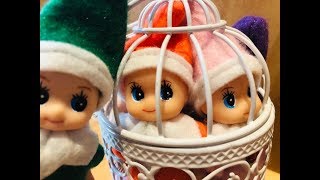 Baby ELVES TRAPPED INSIDE CAGE