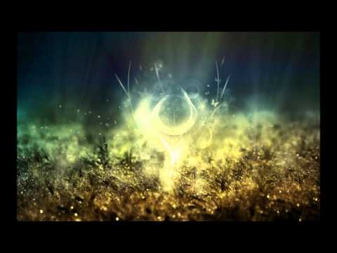 SlowMusic | Fritz Kalkbrenner - Grove