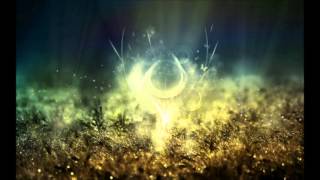 SlowMusic | Fritz Kalkbrenner - Grove