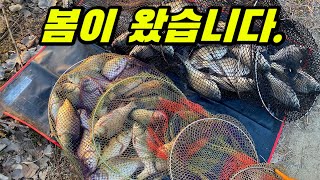 (SUB) What a CRAZY carp fishing!!! (i didn't use the net~!)  carpfishing float fishing へらぶな herabuna
