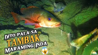 DITO  SA TAMBAK MARAMING ISDA 😱 | EPISODE 146 | NIGHT SPEARFISHING PHILIPPINES  | Drin's Adventure